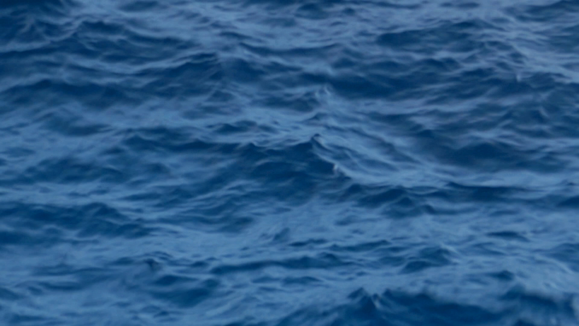 2022-11-05 05 Uhr 23 das Meer (Video)